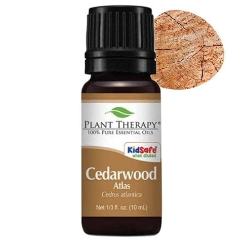 Přírodní esenciální olej Cedrové dřevo Plant Therapy pro vypadávání vlasů
