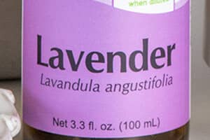 lavandula angustifolia - latinský název esenciálního oleje