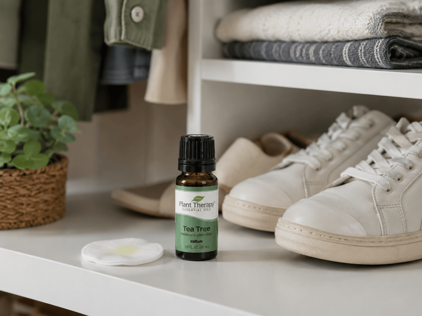 Esenciální olej Čajovník Plant Therapy na provonění bot