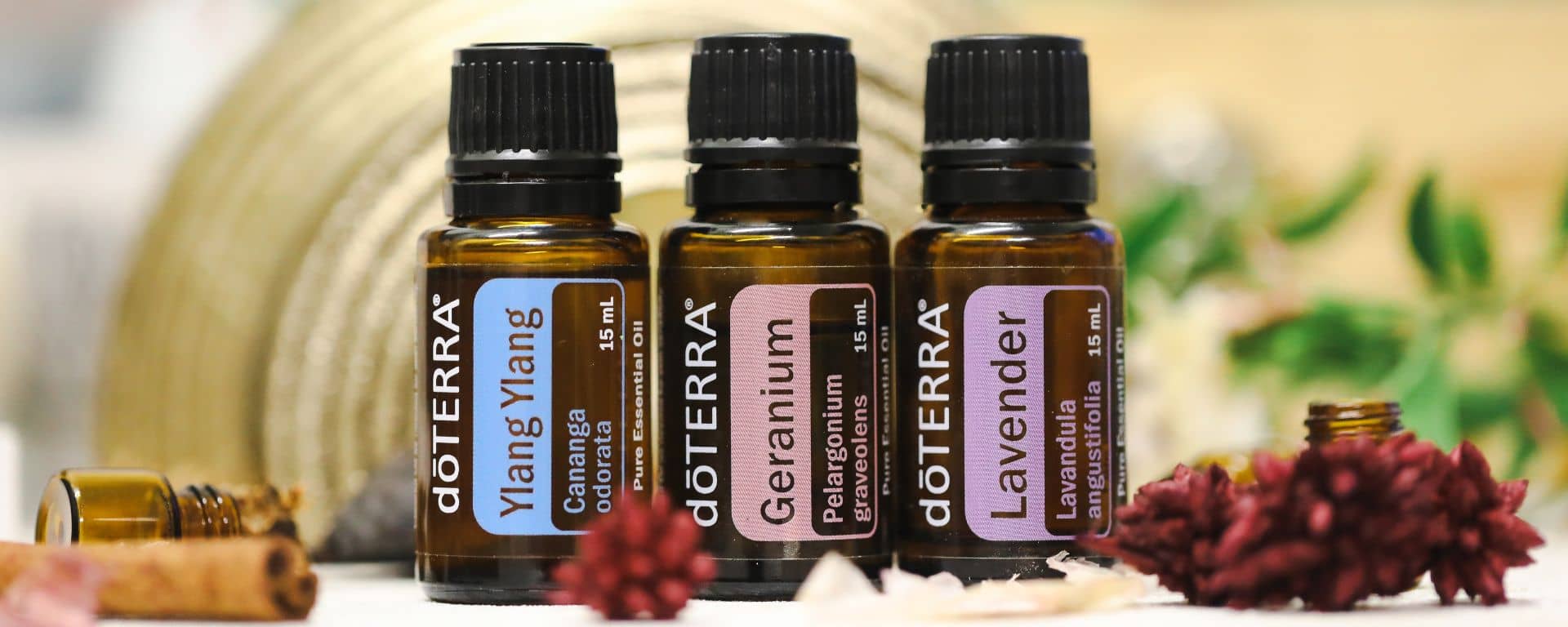 Plant Therapy esenciální oleje namísto doTerra